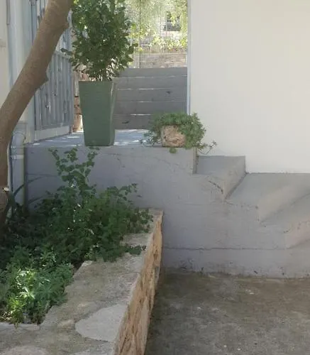 Apartment Downtown Garden *