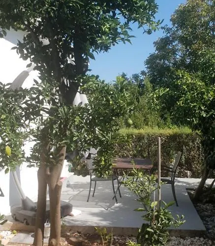 Downtown Garden Apartment Lovište